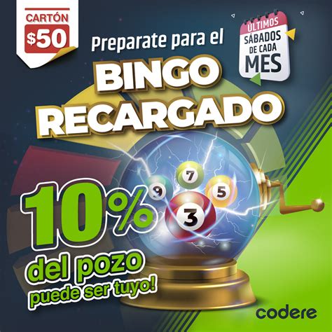 Bingo Street Casino Argentina