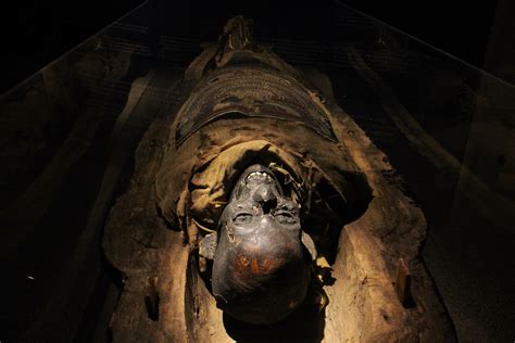 Black Mummy Brabet