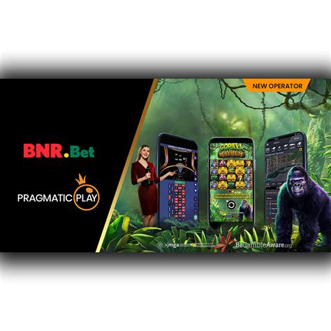 Bnr Casino