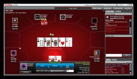 Bodog Player Complains About Forfeiture