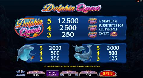 Dolphin Quest 1xbet