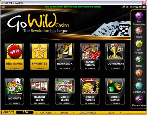 Go Wild Casino Flash Versao