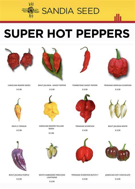 Hot Pepper Betsul