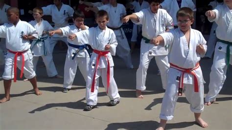 Jogar The Karate Kid No Modo Demo