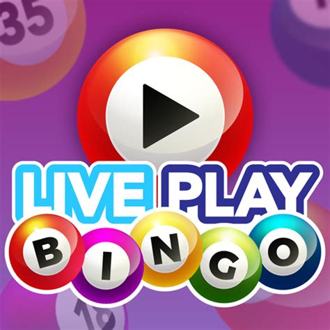 Live Bingo Casino Aplicacao