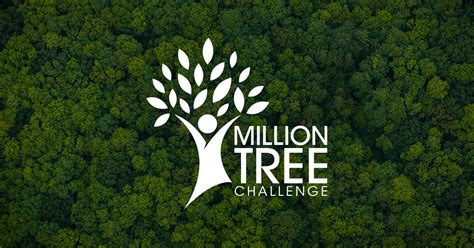Million Tree Review 2024
