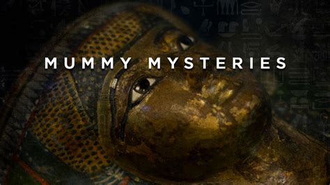 Mummified Mysteries 1xbet