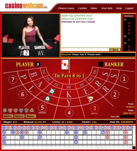 Online Casino Webcam
