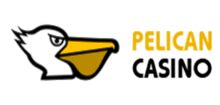 Pelican Casino Dominican Republic