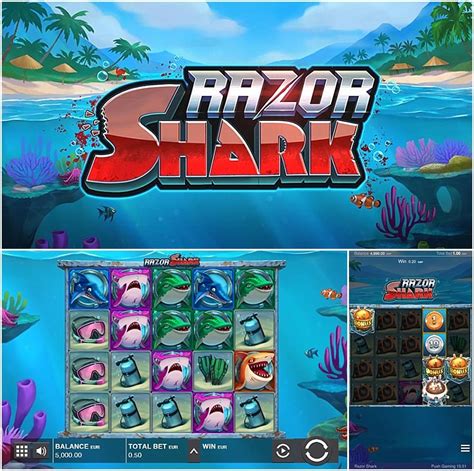 Shark Casino Download