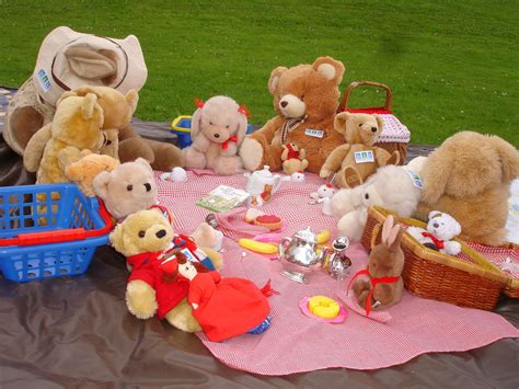 Teddy Bears Picnic Novibet