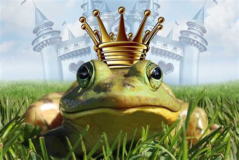 The Frog Prince Bwin